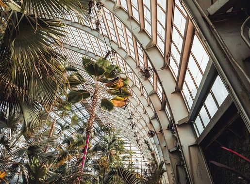 HD wallpaper: Plants Inside Building, architecture, chicago, garden,  indoors | Wallpaper Flare