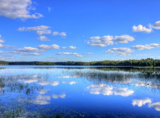 Skies and Clouds over the Park at lake Itasca state park, Minnesota image -  Free stock photo - Public Domain photo - CC0 Images