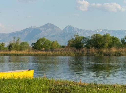 File:Peaceful Shkodra lake view.jpg - Wikimedia Commons