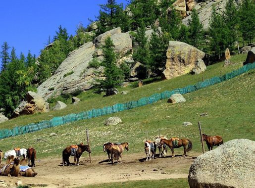 File:Mongolian terelj resort.jpg - Wikimedia Commons