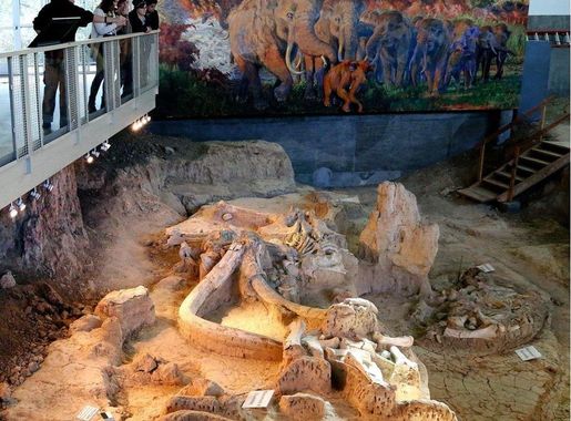 The First Great National Park Fossil Quiz (U.S. National Park Service)