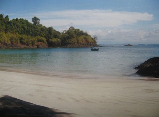 File:Parque Nacional Chiriquí.JPG - Wikipedia