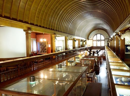 File:Interior - Fairbanks Museum and Planetarium - DSC04390.JPG - Wikimedia  Commons