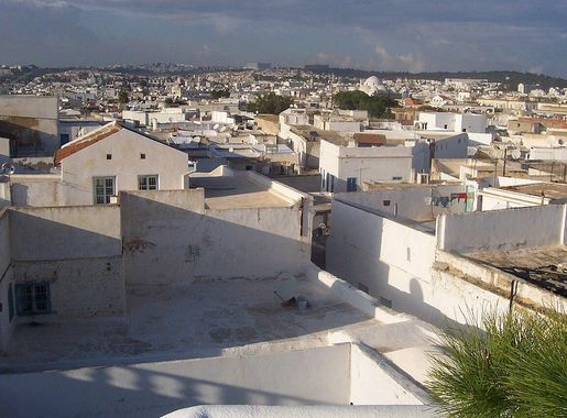 File:Terrasses de la médina de Tunis.jpg - Wikipedia