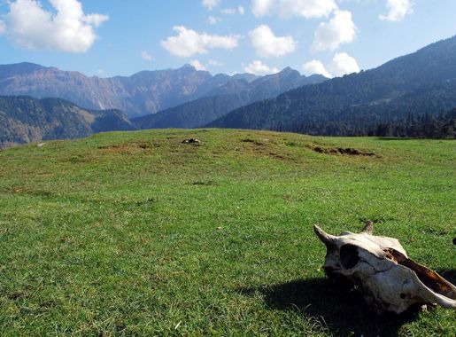 File:Chopta - Mini Switzerland of India.jpg - Wikimedia Commons