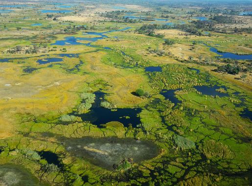 File:Okavango delta - Botswana - panoramio.jpg - Wikimedia Commons