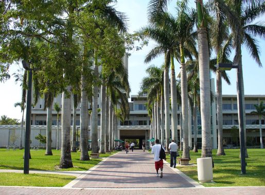 University of Miami in Coral Gables, Florida image - Free stock photo -  Public Domain photo - CC0 Images