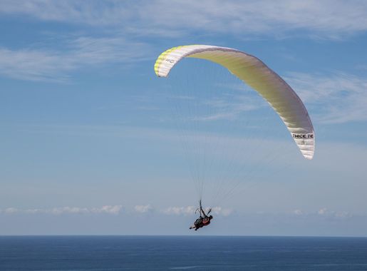 File:Black's Beach Paraglider at Torrey Pines Gliderport 6D2B4320.jpg -  Wikimedia Commons