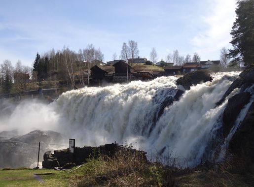 Fil:Haugfosstråkka.JPG – Wikipedia