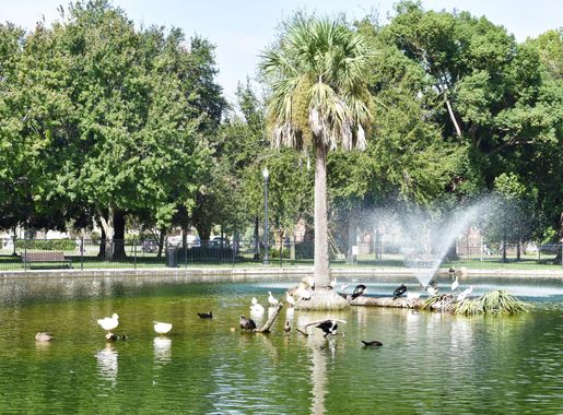 File:Riverside Park 1 (Jacksonville, Florida).jpg - Wikimedia Commons