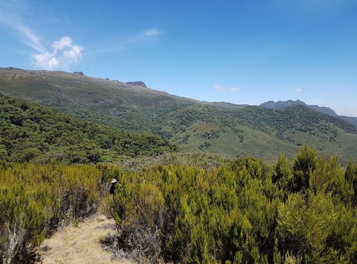 File:Mount Longonot Kenya.jpg - Wikimedia Commons