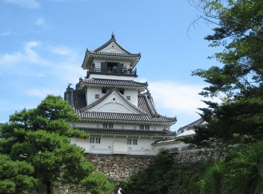 File:Kochi Castle 03.JPG - Wikimedia Commons
