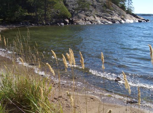 File:Beach at Södra Grinda.jpg - Wikimedia Commons
