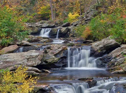 File:Devil's Den Talladega National Forest.jpg - Wikimedia Commons