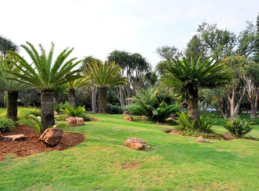 File:Jan Cellierspark, Pretoria.jpg - Wikimedia Commons
