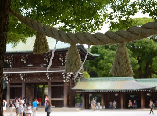 Revering the past: exploring Meiji Shrine > Yokota Air Base > Article  Display