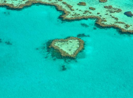 Free Images : sea, ocean, underwater, heart, romantic, coral reef,  australia, landform, great barrier reef, whitsundays, marine biology  4928x3264 - - 1219458 - Free stock photos - PxHere