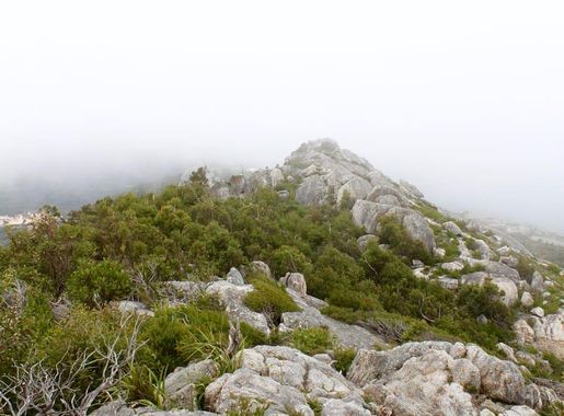 Page 42 | bushings 1080P, 2K, 4K, 5K HD wallpapers free download, sort by  relevance | Wallpaper Flare