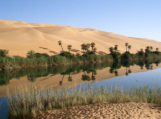 File:Oasis in Libya.jpg - Wikipedia