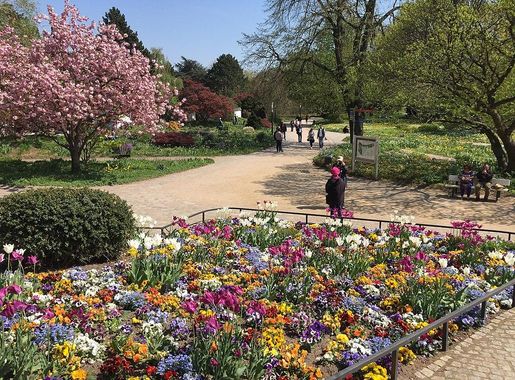 File:Planten un Blomen im Frühling.jpg - Wikimedia Commons