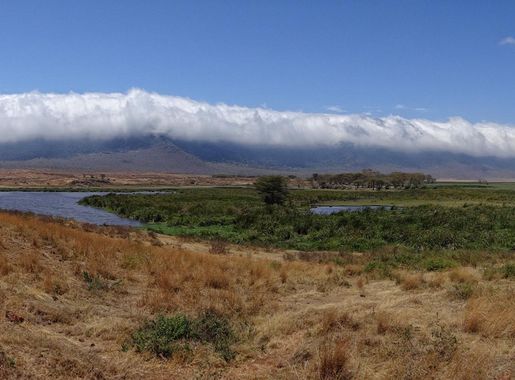 File:Ngorongoro-Crater-Rim-From-Bottom.JPG - Wikimedia Commons