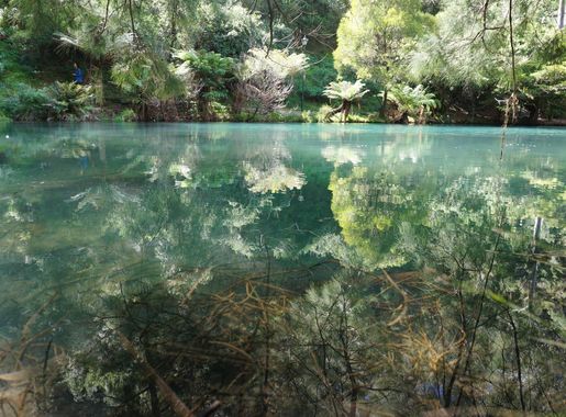 File:Jenolan Caves, Blue Mountain.jpg - Wikimedia Commons