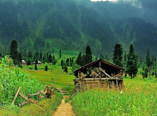 File:Arang Kel, Neelum Valley, Azad Khashmir, Pakistan.jpg - Wikimedia  Commons