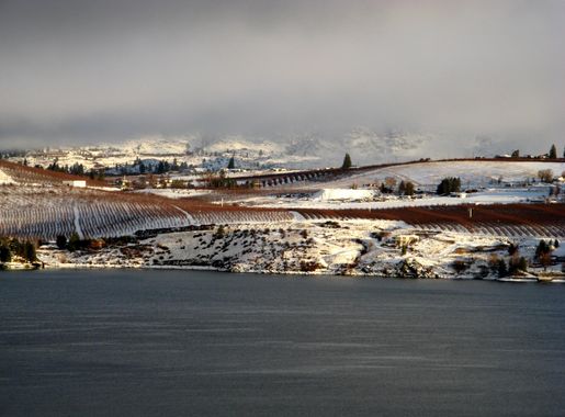 File:Manson orchards from south shore Lake Chelan.jpg - Wikimedia Commons