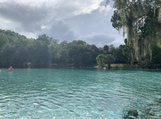 File:Silver Glen Springs 2.jpg - Wikimedia Commons