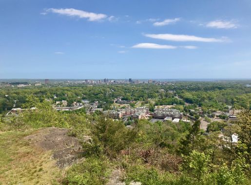 File:New Haven panorama from West Rock south overlook.jpg - Wikimedia  Commons