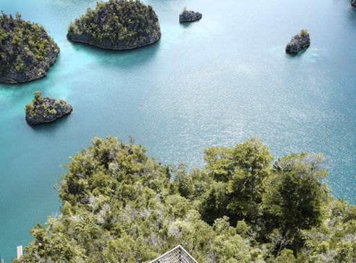 File:Majestic Raja Ampat.jpg - Wikimedia Commons