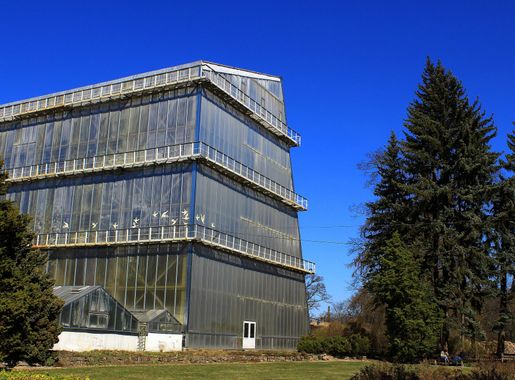 Attēls:University of Latvia Botanical garden - panoramio.jpg — Vikipēdija