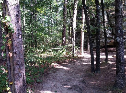 File:Petit Jean State Park 030.jpg - Wikimedia Commons