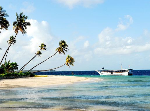 Wakatobi National Park - Wikipedia