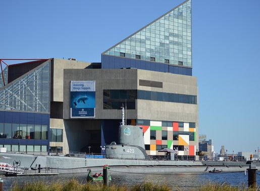 File:National Aquarium in Baltimore 2.JPG - Wikimedia Commons