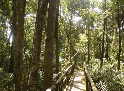 File:LEKKI CONSERVATION CENTRE (LCC) 04.jpg - Wikimedia Commons