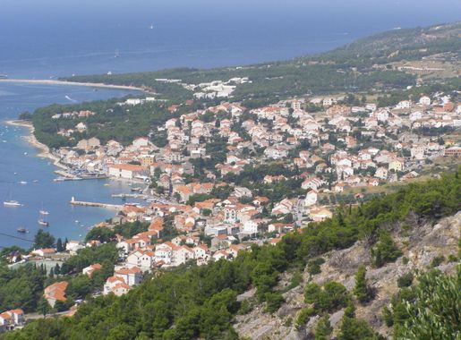 File:BOL BRAC.JPG - Wikimedia Commons