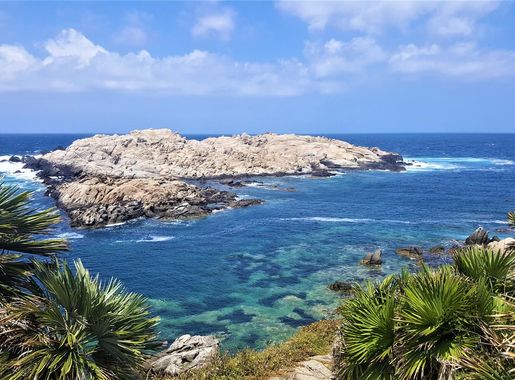 File:Vivier, Annaba, ALGERIA.jpg - Wikimedia Commons