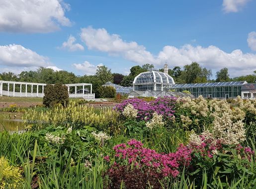 File:VMU Botanical Garden in Kaunas 2019-07-15.jpg - Wikipedia