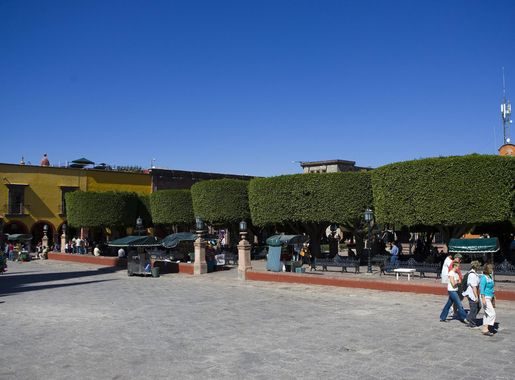 File:El Jardin, Plaza de Allende.jpg - Wikimedia Commons