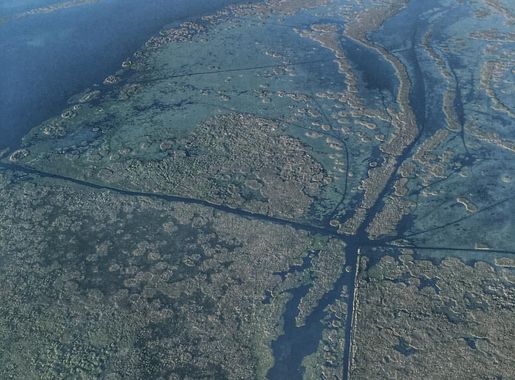 File:The western shore of Lake Okeechobee -aerialview -Florida  -huffpostgram -naturelovers -natgeotravel -livetravelchannel  -aerialphotography -lakeokeechobee -visitflorida -pureflorida -lovefl  -instagram florida -pureflorida (26318583705).jpg ...