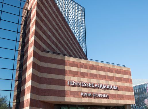 File:TN Aquarium.jpg - Wikimedia Commons