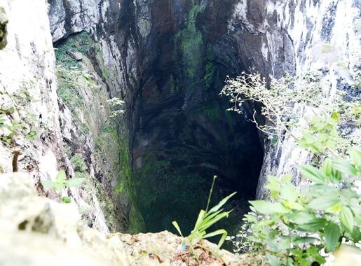 File:Sótano de las Huahuas - panoramio.jpg - Wikimedia Commons