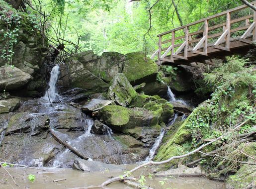 File:GLT 1295 Rettenbachklamm Graz.JPG - Wikimedia Commons