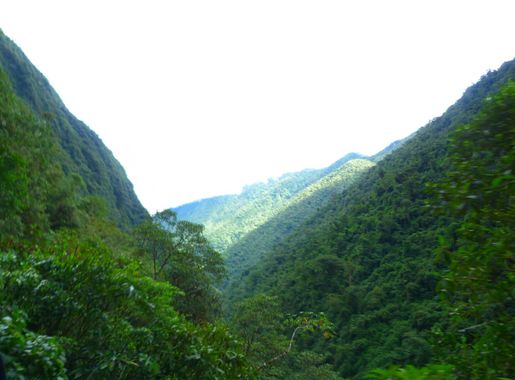 File:Parque Nacional Yanachaga Chemillen, Pasco 03.jpg - Wikimedia Commons