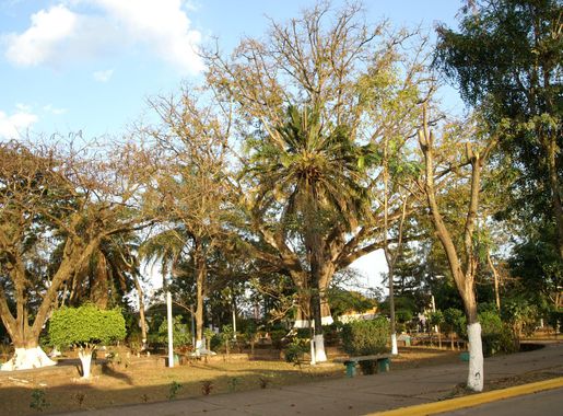File:Catacamas Parque Central.JPG - Wikipedia