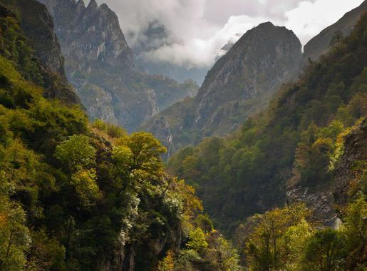 Free Images : landscape, tree, nature, forest, wilderness, cloudy, leaf,  lake, valley, mountain range, autumn, fjord, national park, ridge, clouds,  spain, alps, plateau, landform, picos de europa, mountain pass,  geographical feature, atmospheric
