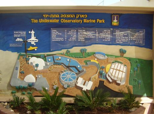 File:Underwater Observatory Marine Park in Eilat.JPG - Wikimedia Commons