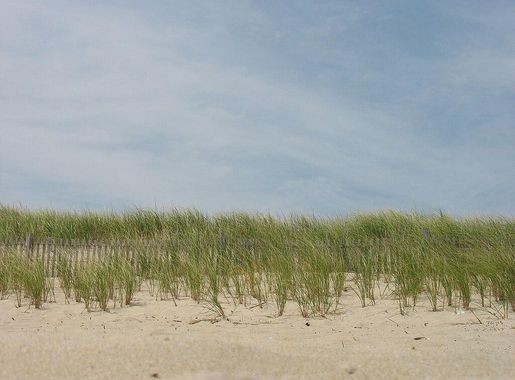 File:Delaware Beaches State Park.jpg - Wikimedia Commons