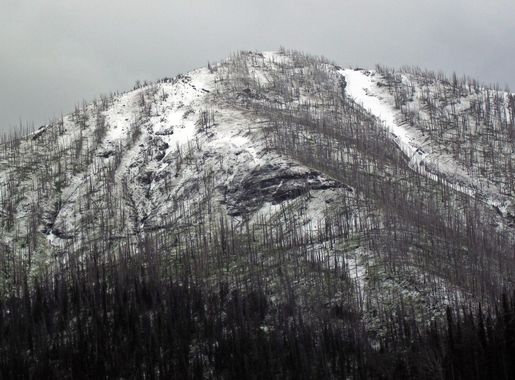 File:Freshly-fallen snow in the Absaroka Range (11 July 2016) (near Sylvan  Pass, Yellowstone, Wyoming, USA) 5 (27844796984).jpg - Wikimedia Commons